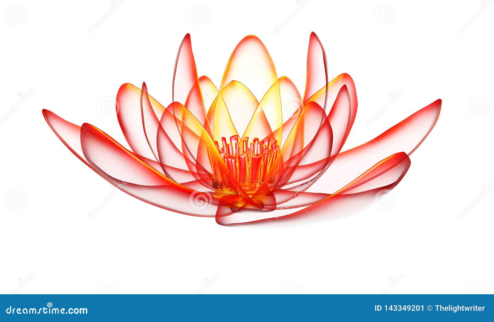 Xray Image of a Flower Isolated on White, the Lotus 3d Illustration Stock Illustration