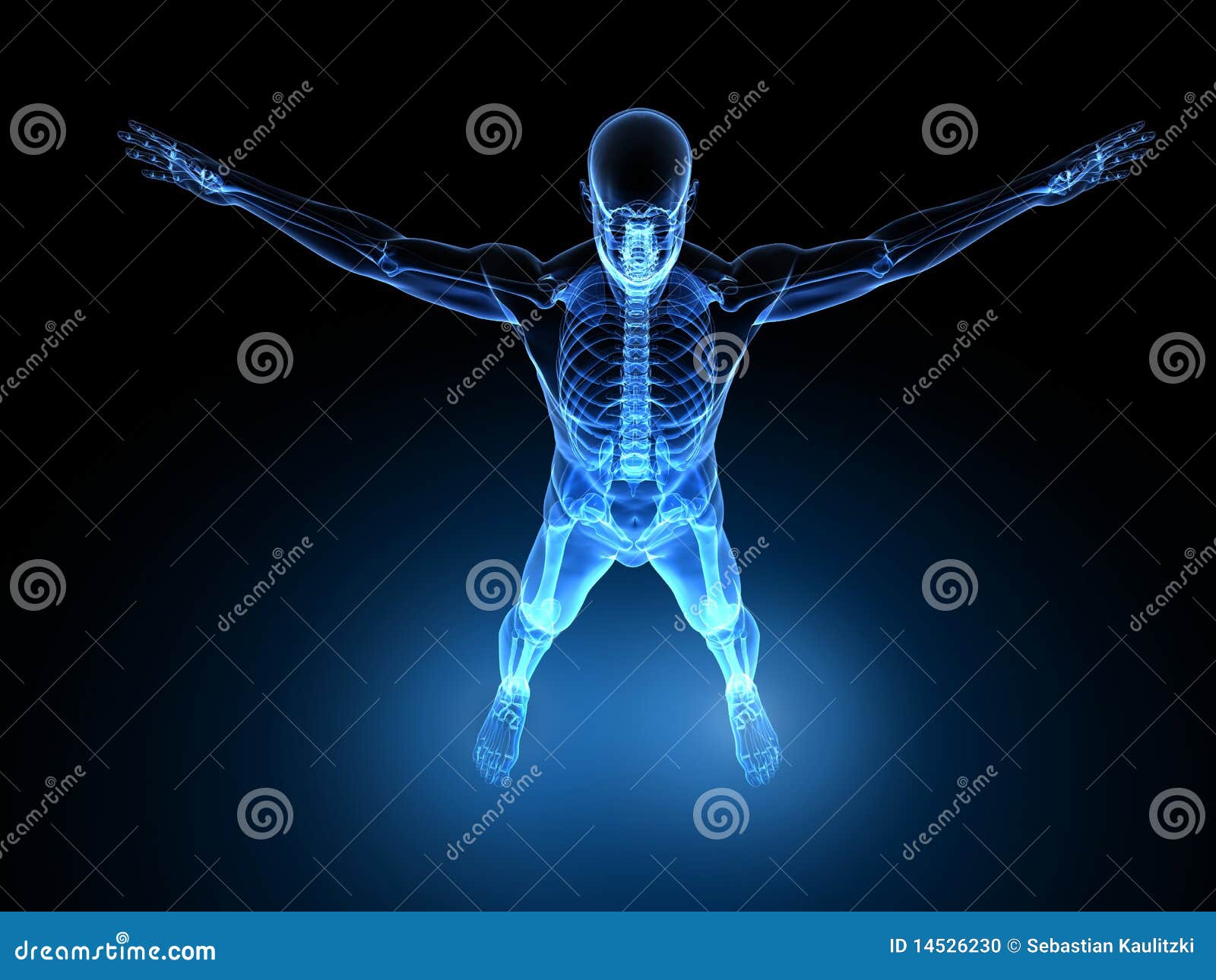 Xray male model stock illustration. Illustration of joints 14526230
