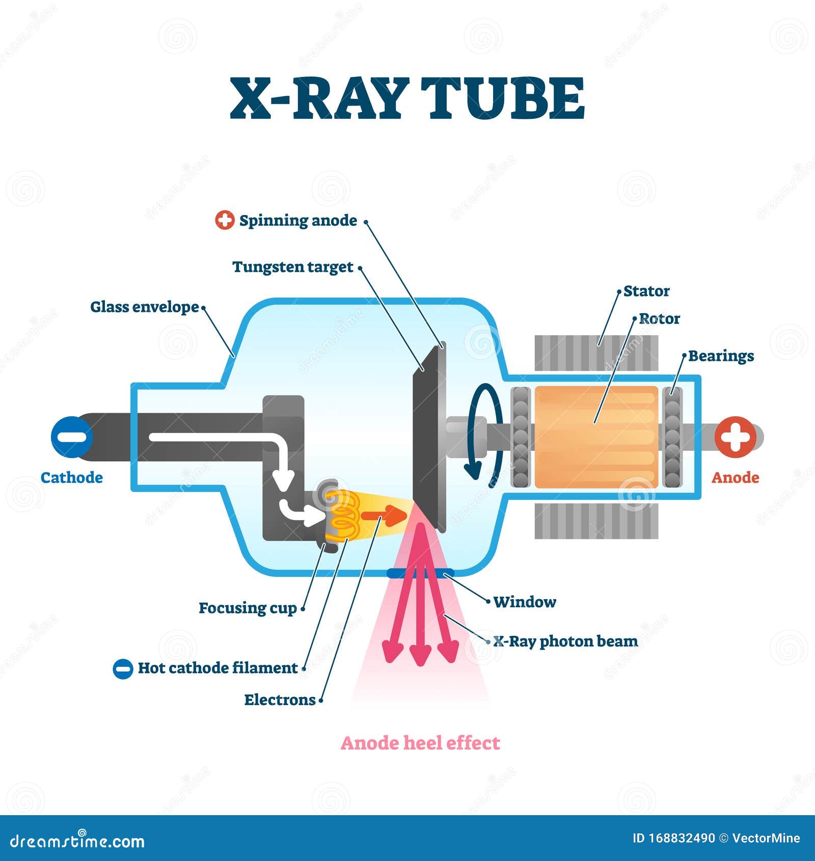 X-Ray Imaging Physics for Nuclear Medicine Technologists. Part 2: X-Ray  Interactions and Image Formation | Journal of Nuclear Medicine Technology