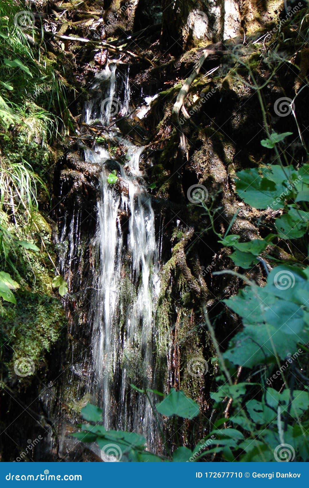 Rivulet stock photo. Image of caucasus, western, rocks 172677710