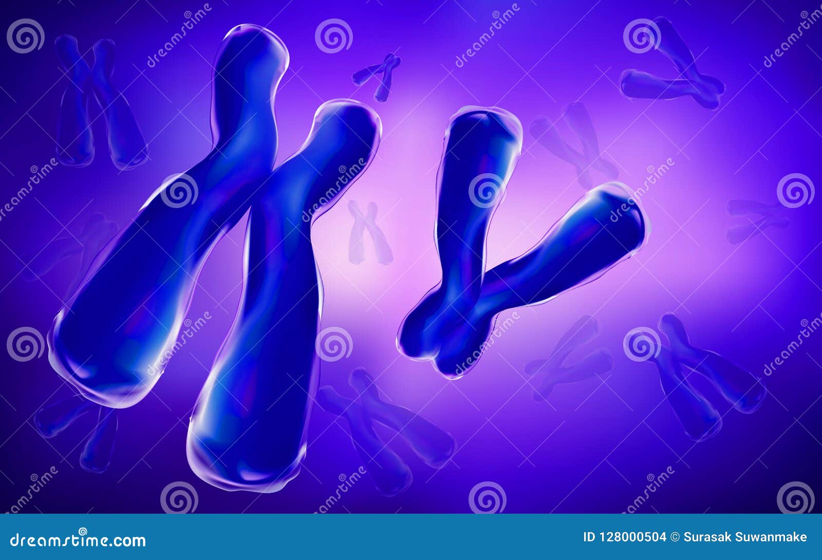 X Und Y-Chromosom Paare Oder Genetik Es Gibt Paare, Wie Durch Die