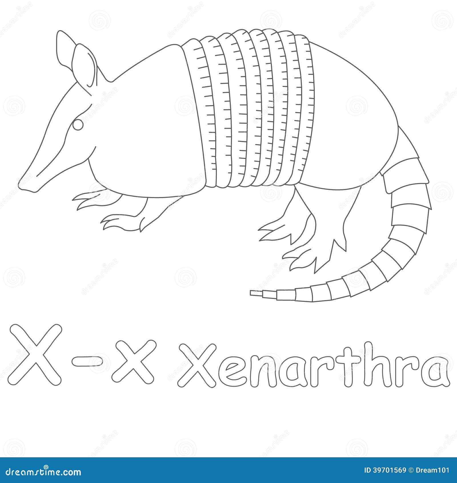 X For Xenarthra Coloring Page Illustration 39701569 - Megapixl