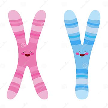 X and Y Chromosome Characters Stock Vector Illustration of blue X and Y Chromosome Characters Stock Vector Illustration of blue