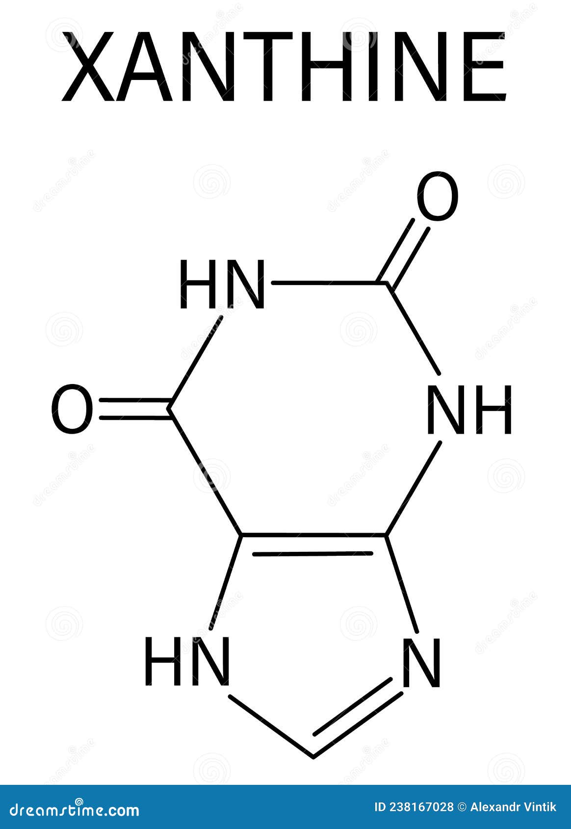 xanthine purine base molecule. skeletal formula. chemical structure