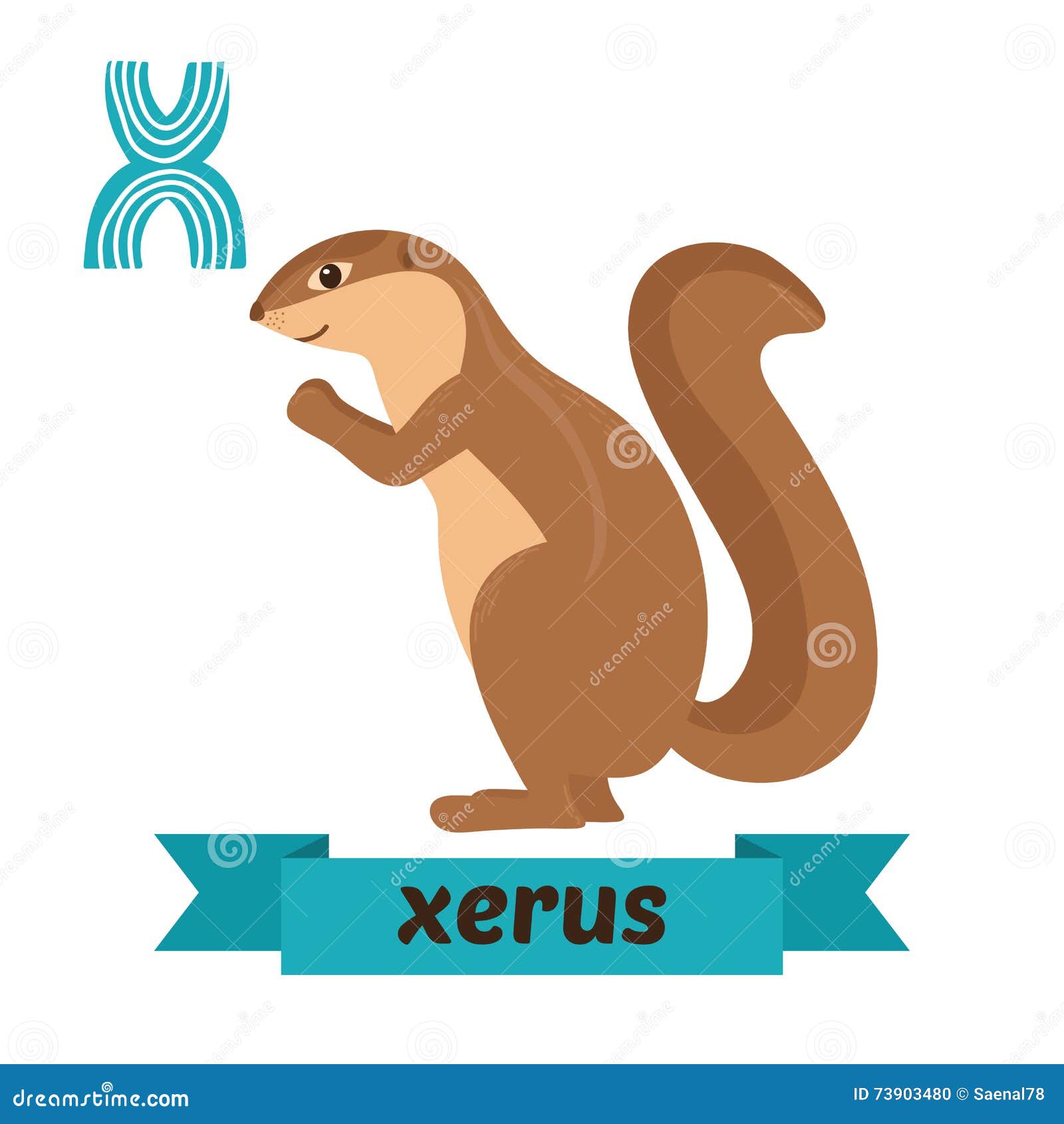 Xerus. X Letter. Cute Children Animal Alphabet in Vector Stock Vector - Illustration of school, card: 73903480 Xerus. X Letter. Cute Children Animal Alphabet in Vector Stock Vector - Illustration of school, card: 73903480
