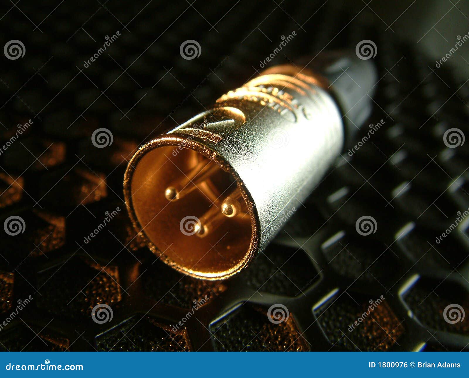 XLR Plug on Speaker Grill 2 Stock Photo Image of connect, address