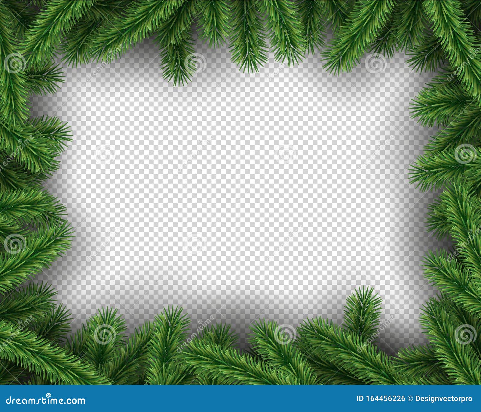 Xmas зеленая сосна на прозрачном фоне Иллюстрация вектора - иллюстрации  насчитывающей реалистическо, празднично: 164456226