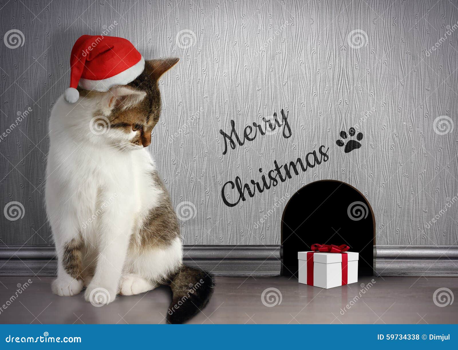 xmas congratulate concept, funny cat with santa hat and gift