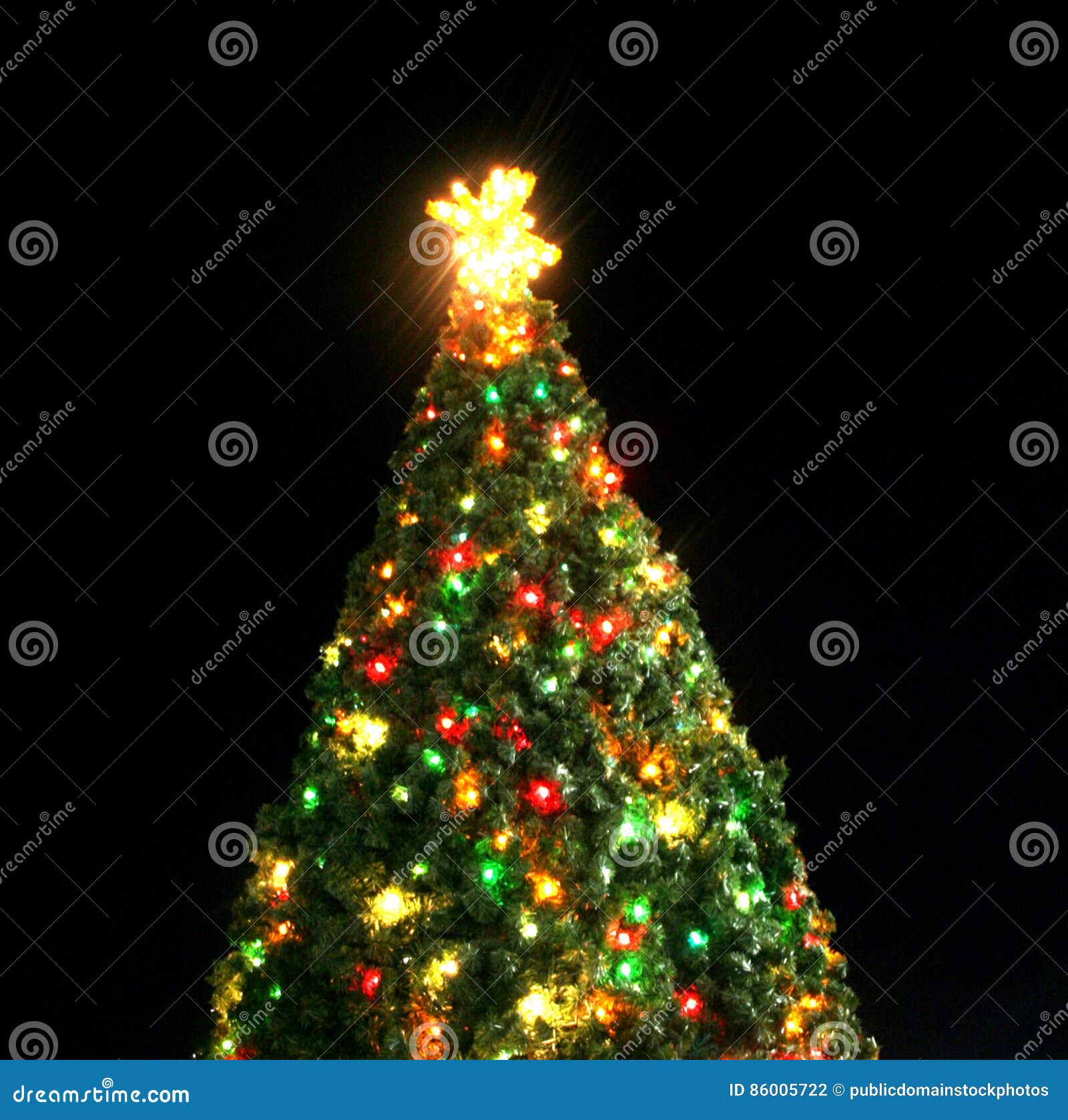 Xmas Tree Picture. Image 86005722