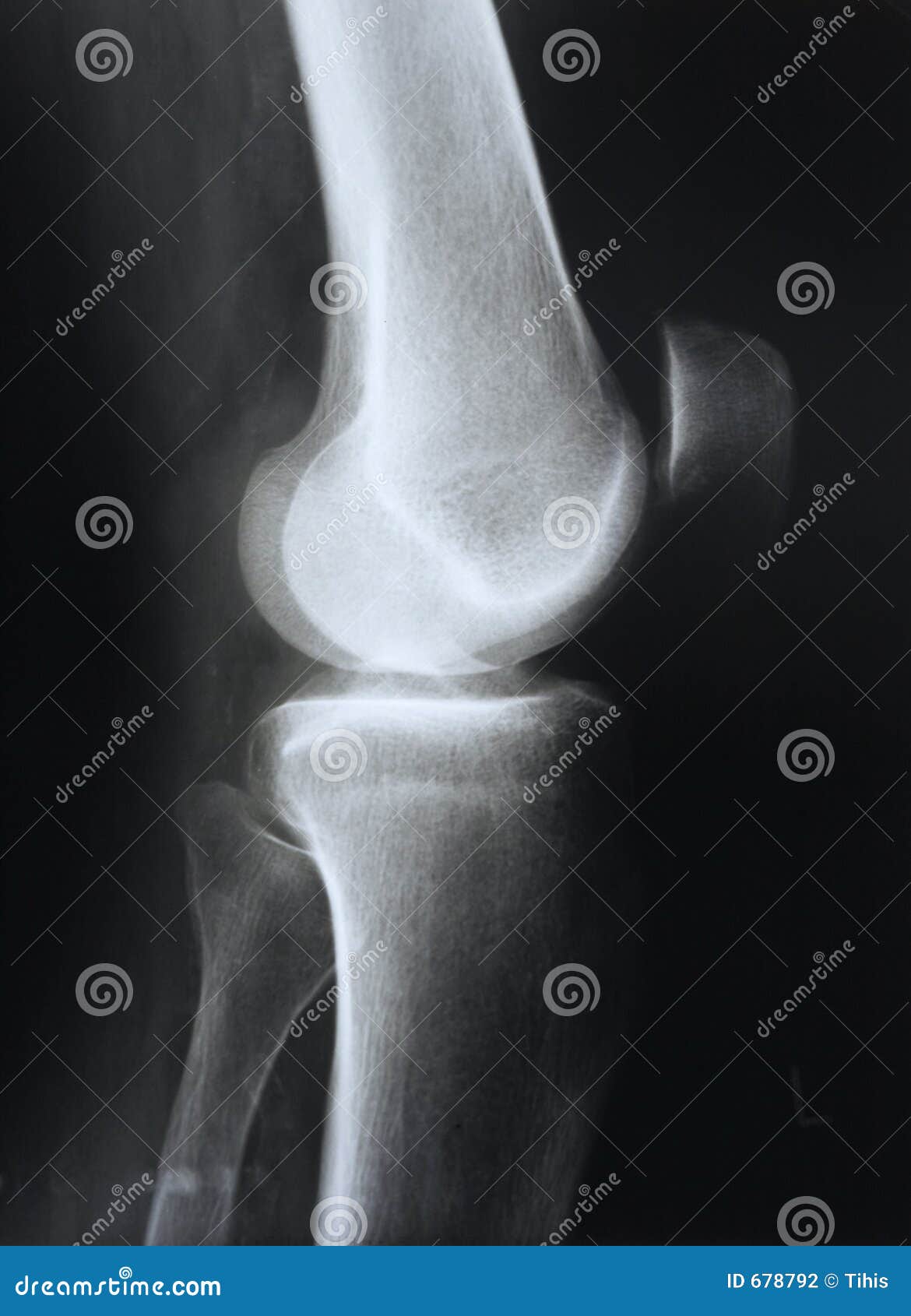 download Landmarks in Developmental Biology 1883–1924: Historical Essays from Roux’s