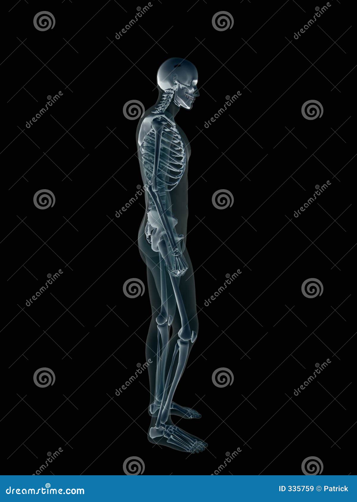 Xray, Xray of the Human Male Body. Stock Illustration Illustration
