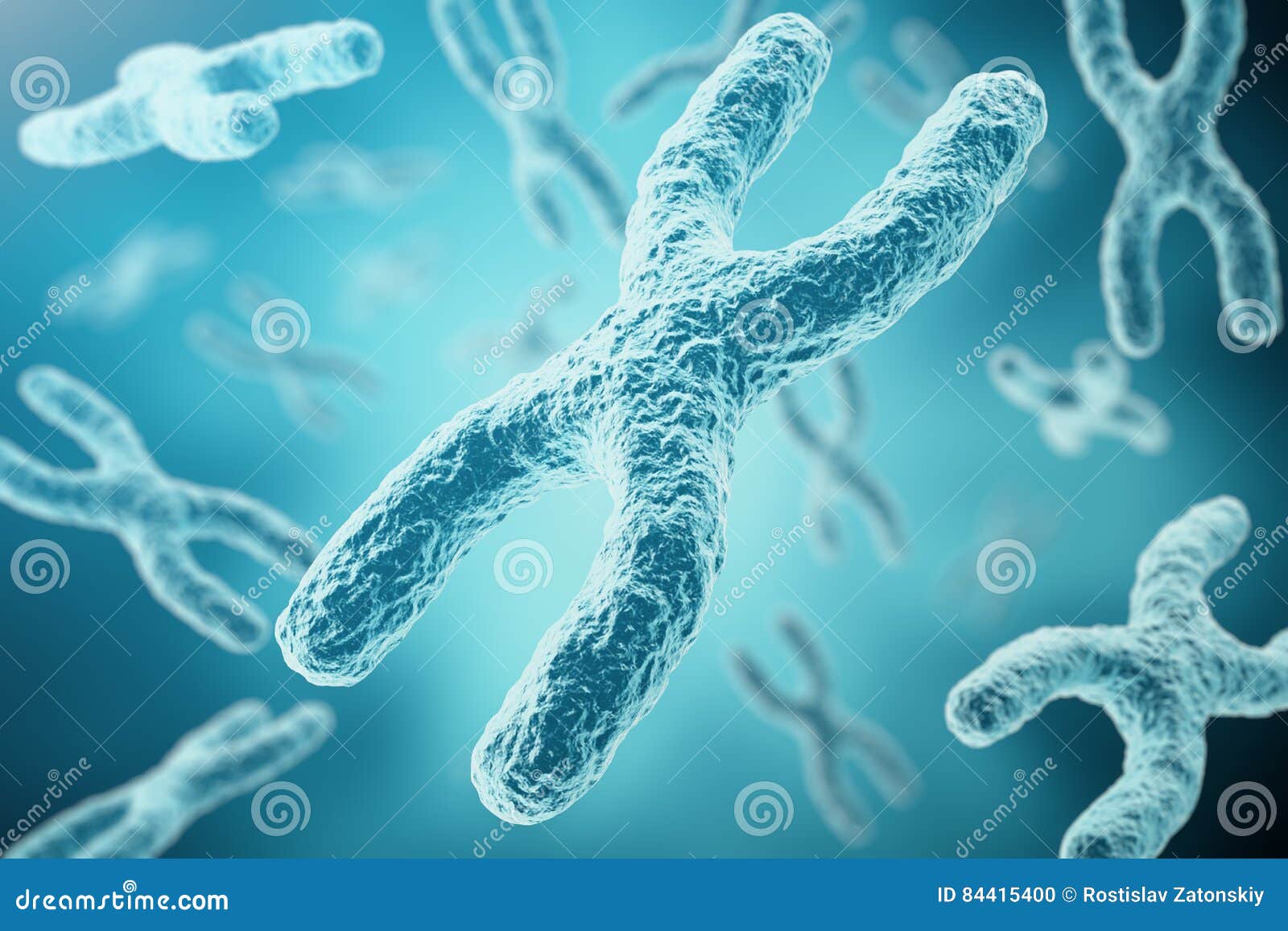 xy-chromosomes as a concept for human biology medical  gene therapy or microbiology genetics research. 3d