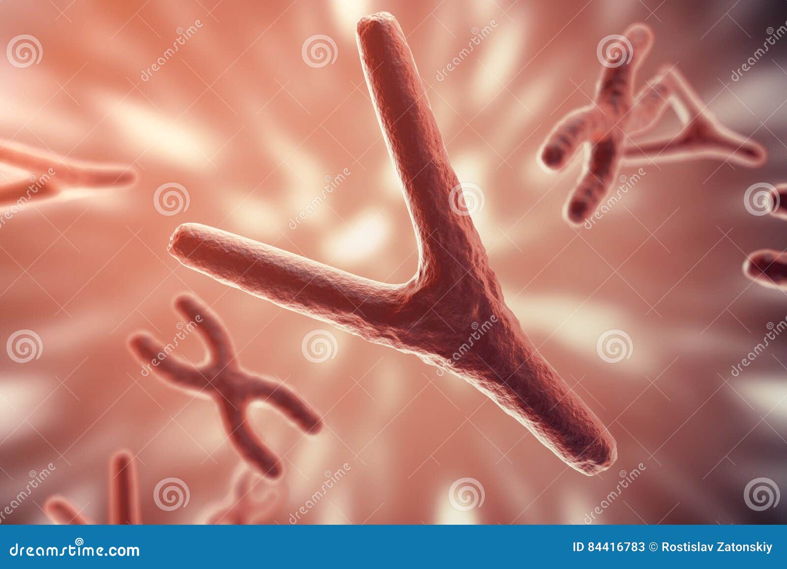 xy-chromosomes as a concept for human biology medical  gene therapy or microbiology genetics research. 3d