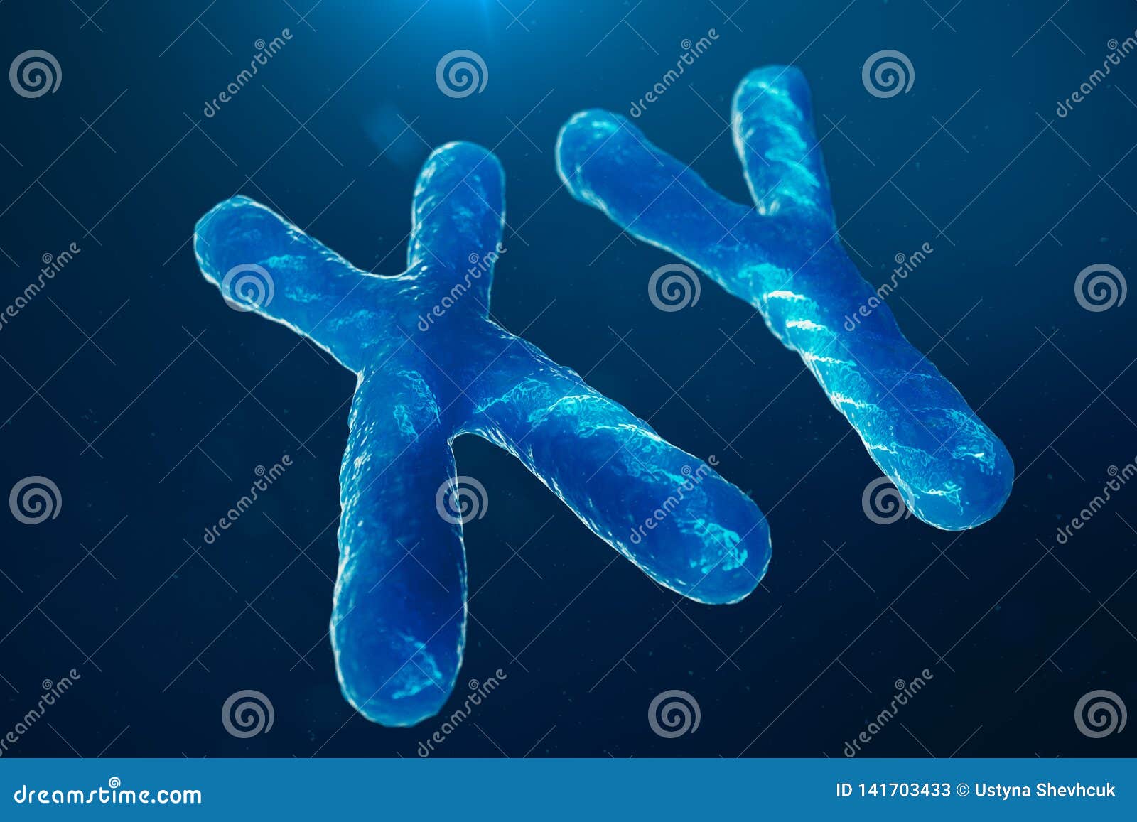 xy-chromosomes with dna carrying the genetic code. genetics concept, medicine concept. future, genetic mutations