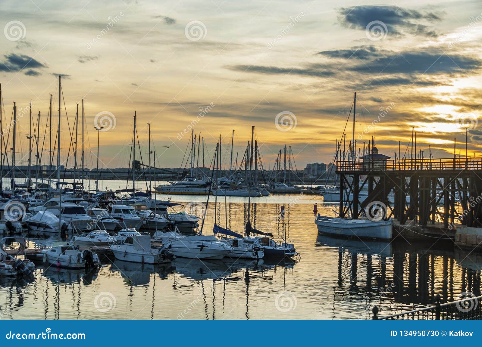 torrevieja yacht club