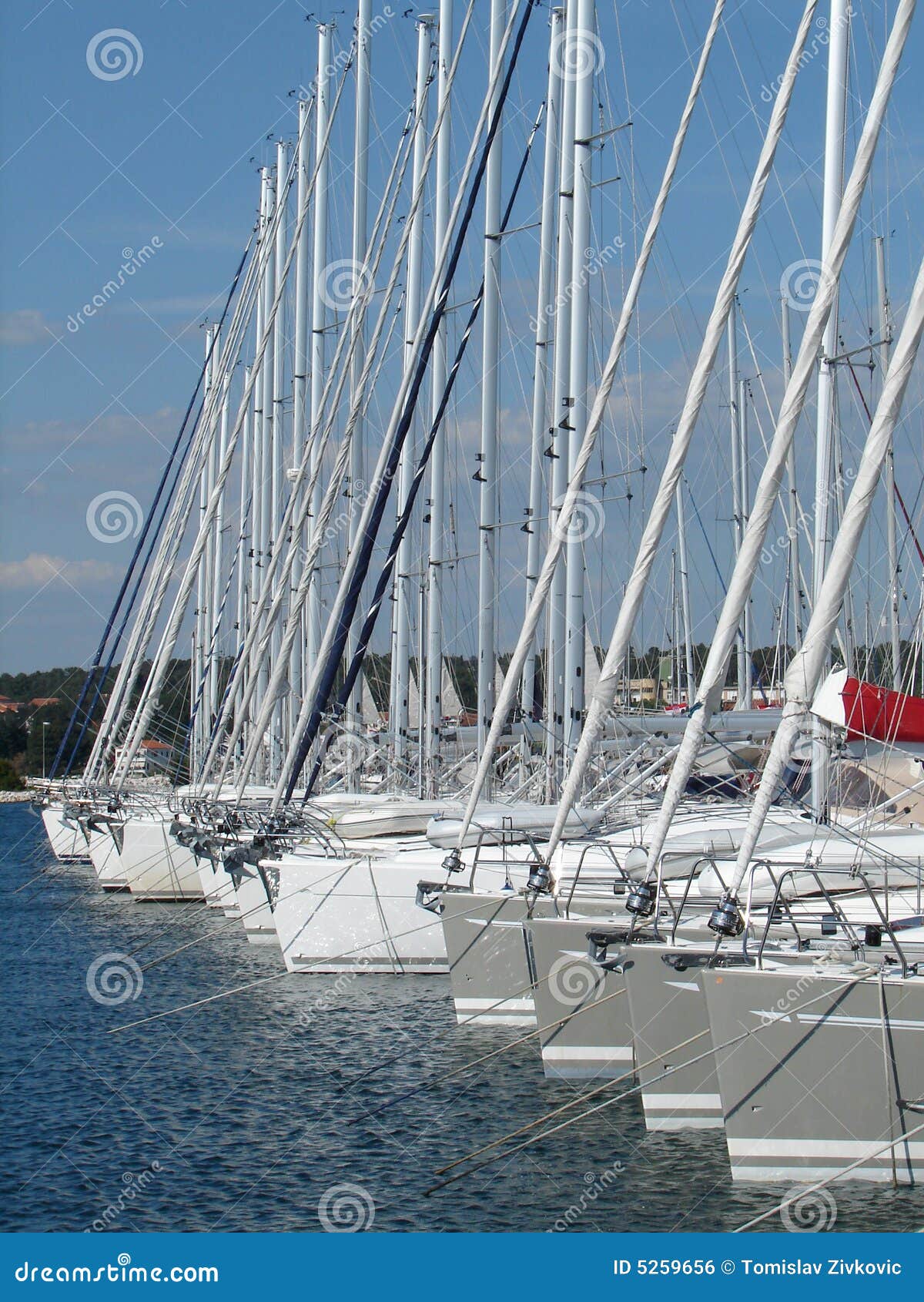 Yacht masts in marina stock photo. Image of boat, yachts 5259656