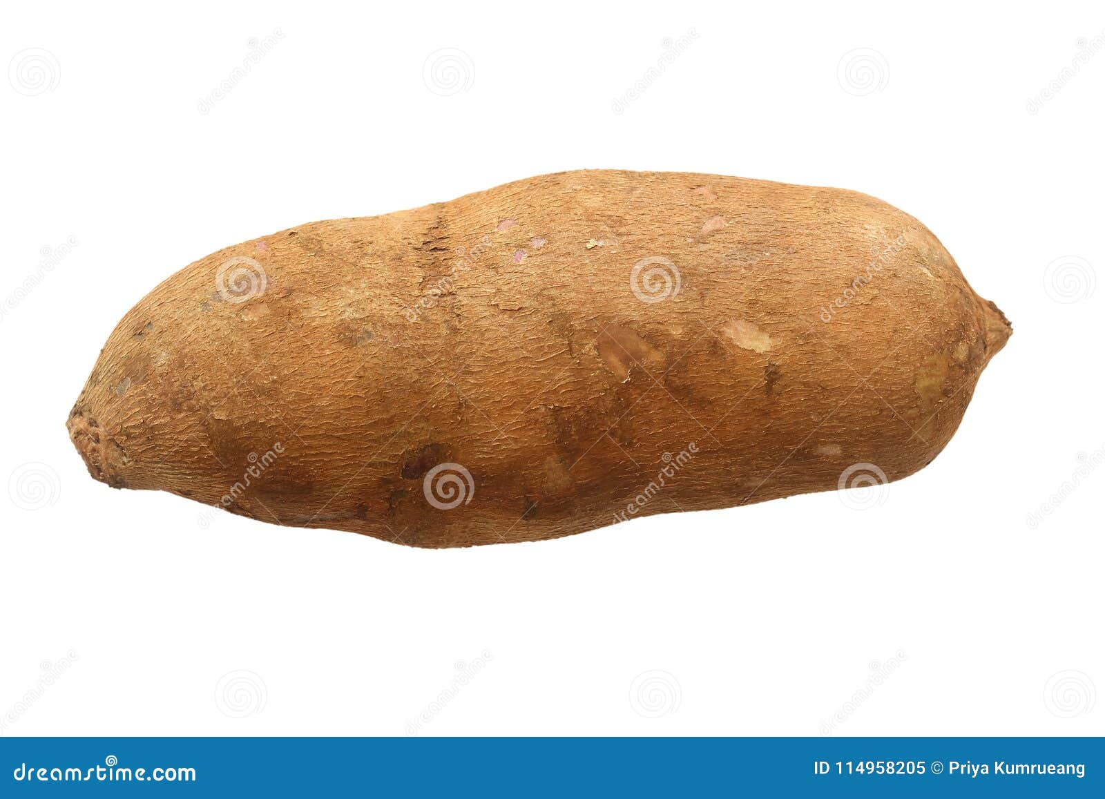 The Yacon Fruit Herb and Healthy Medicine Salutary. Isolate on White Stock Image Image of