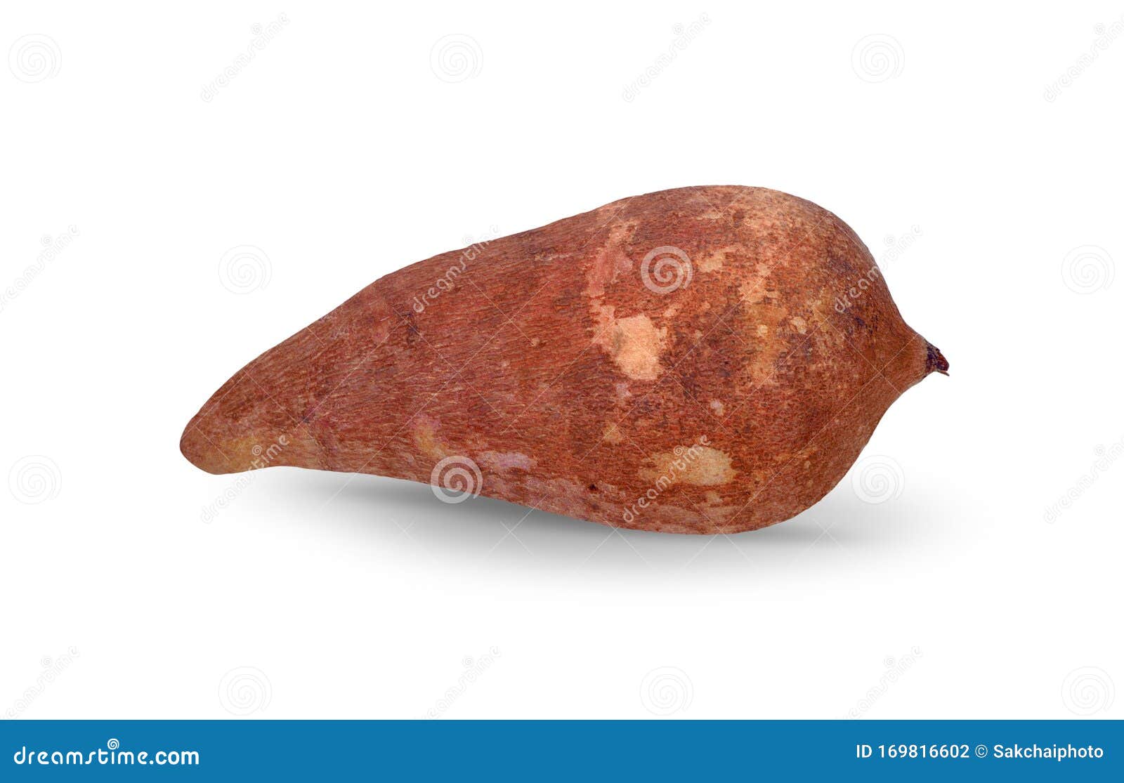 Yacon Fruit Isolate on White Background, Clipping Path Stock Photo Image of background