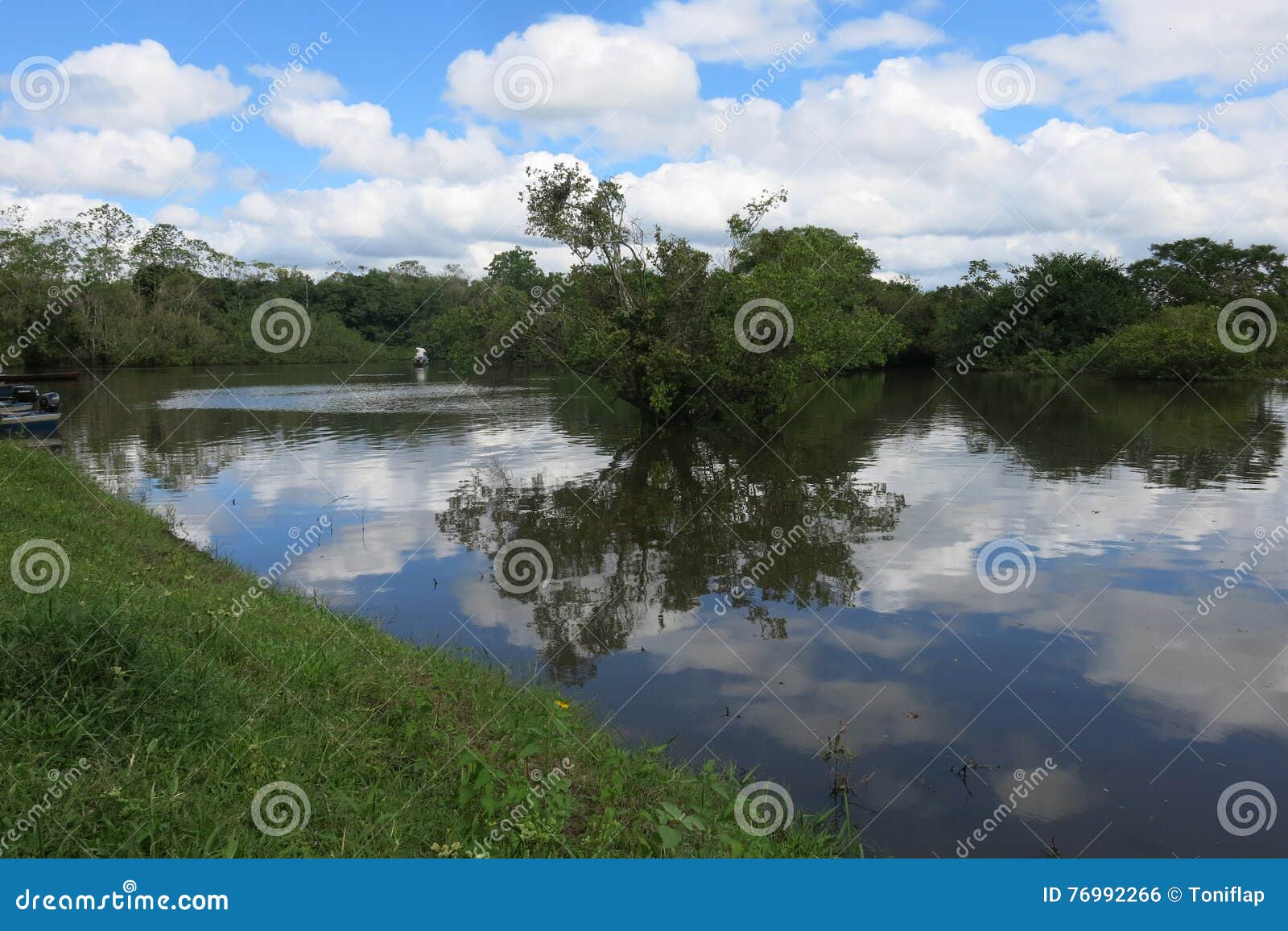 Yacuma River. Bolivian Jungle Stock Photo - Image of serere, south ...