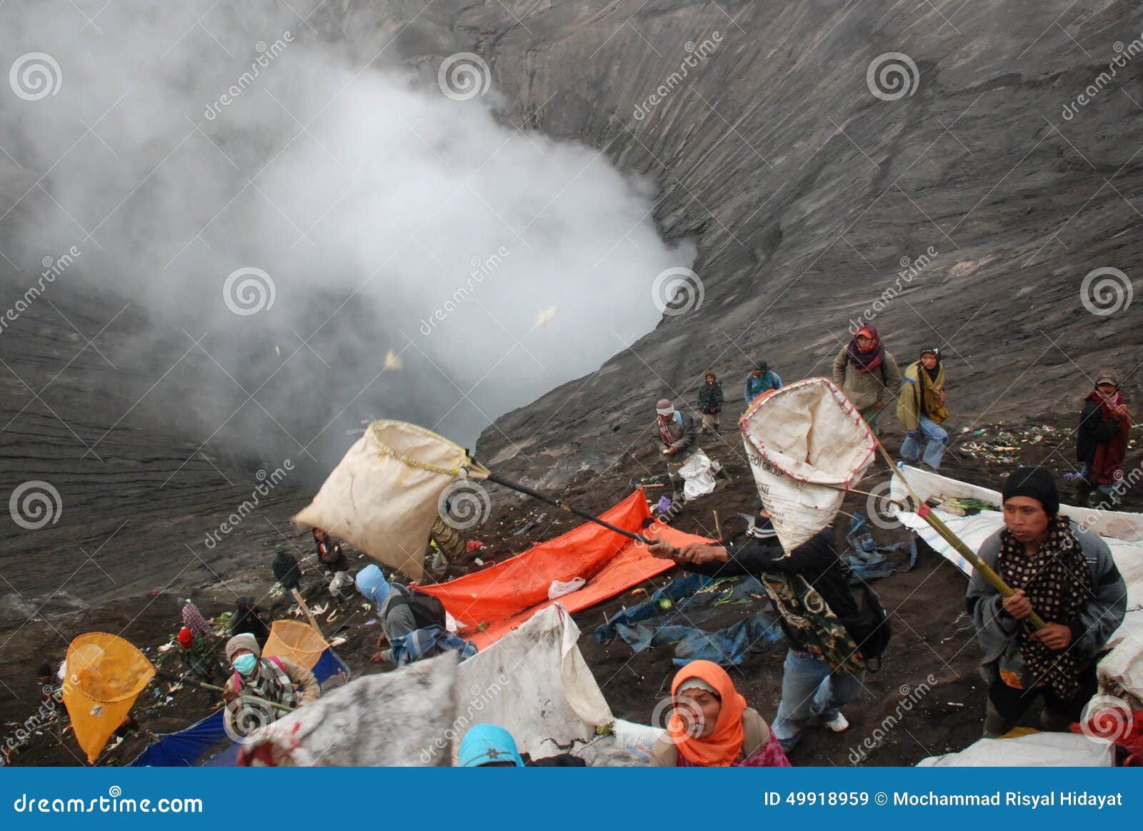 YADNYA KASADA FESTIVAL editorial stock image. Image of livestock - 49918959