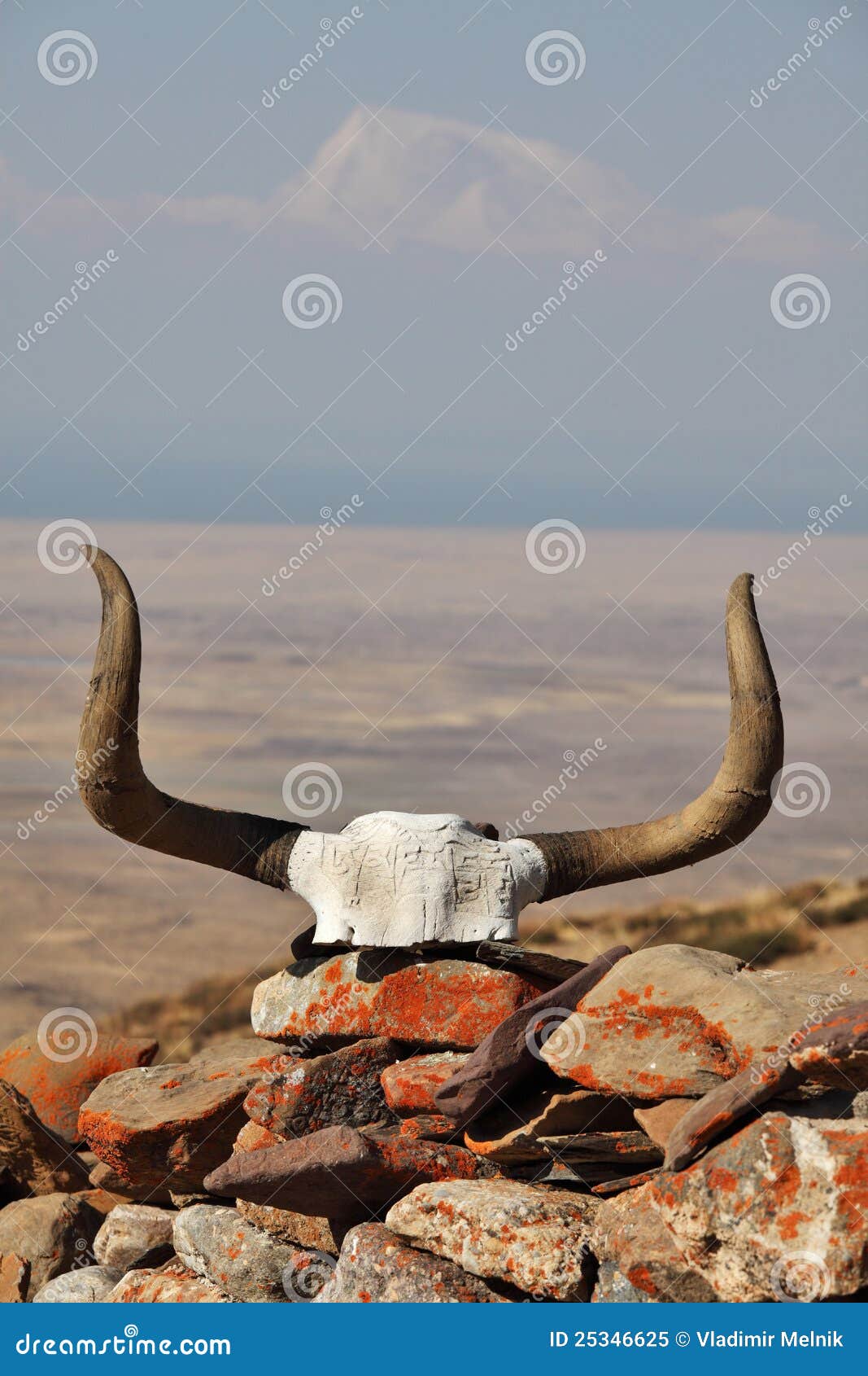Yak Skull Decorated with Buddhist Mantras Stock Image - Image of ladakh