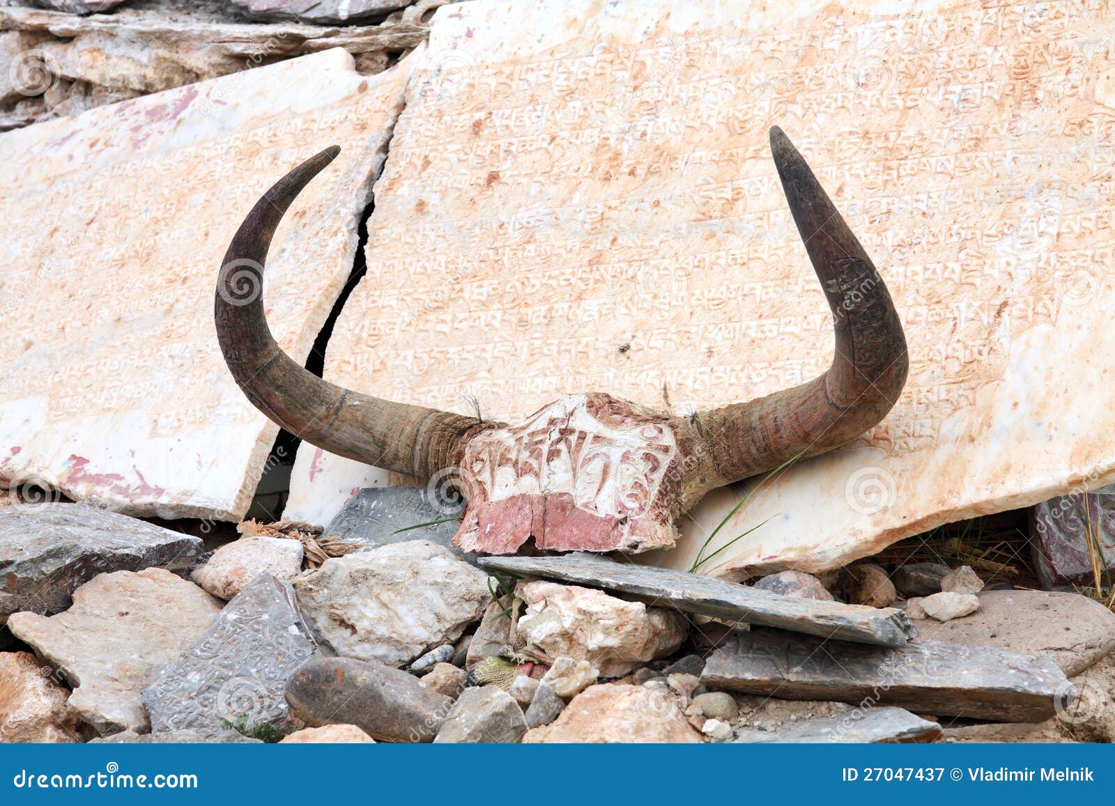 Yak Skulls Decorated with Buddhist Mantras Stock Image - Image of