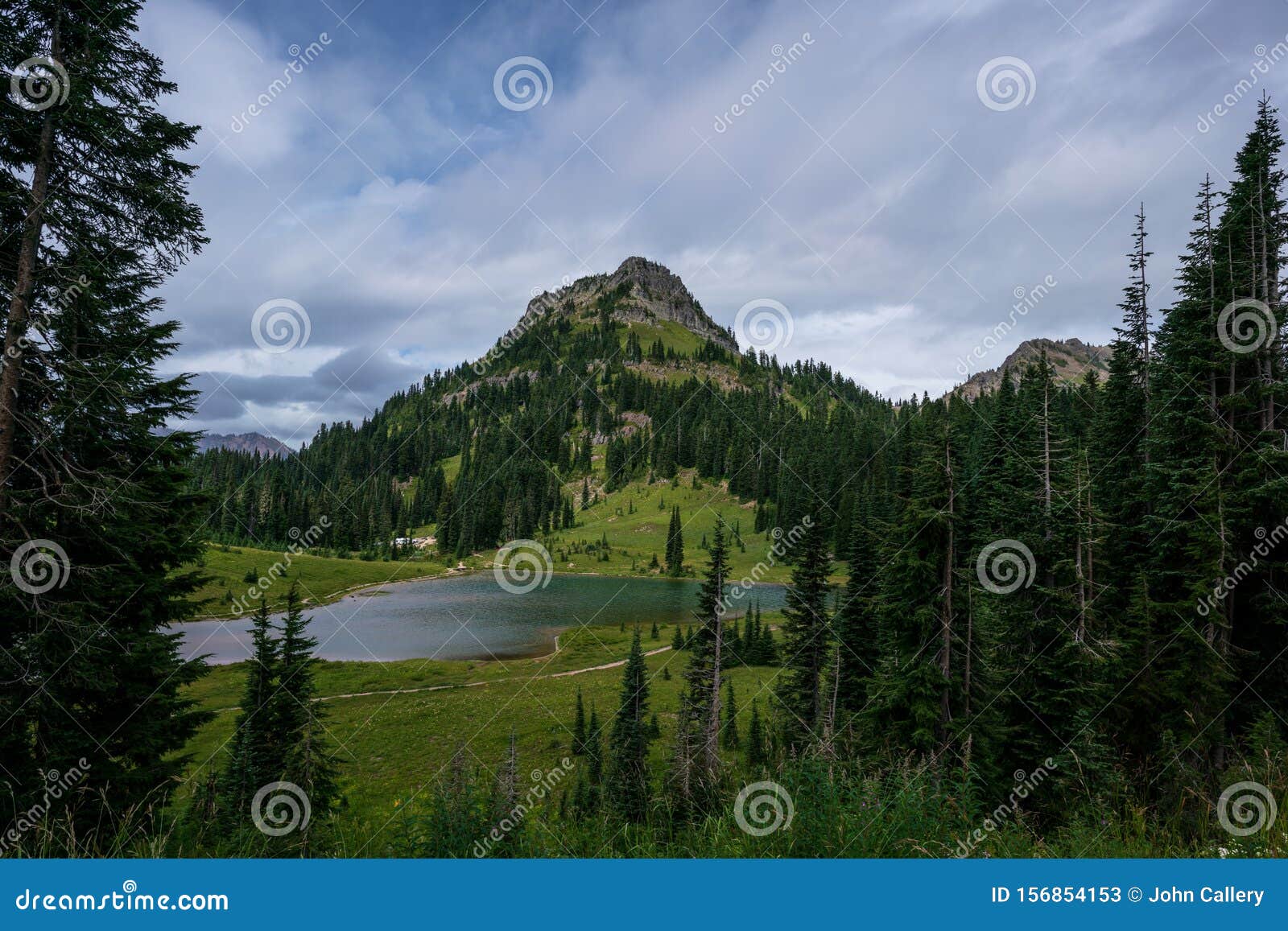 Yakima Peak, Parque Nacional Monte Rainier Imagen de archivo Imagen