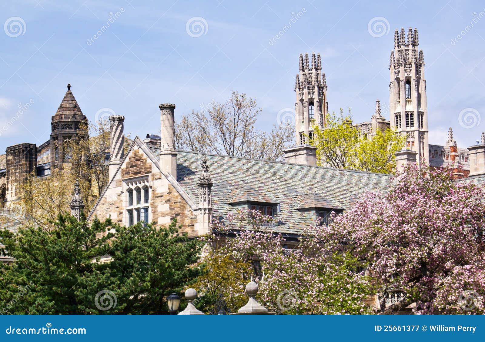 yale university sterling law building