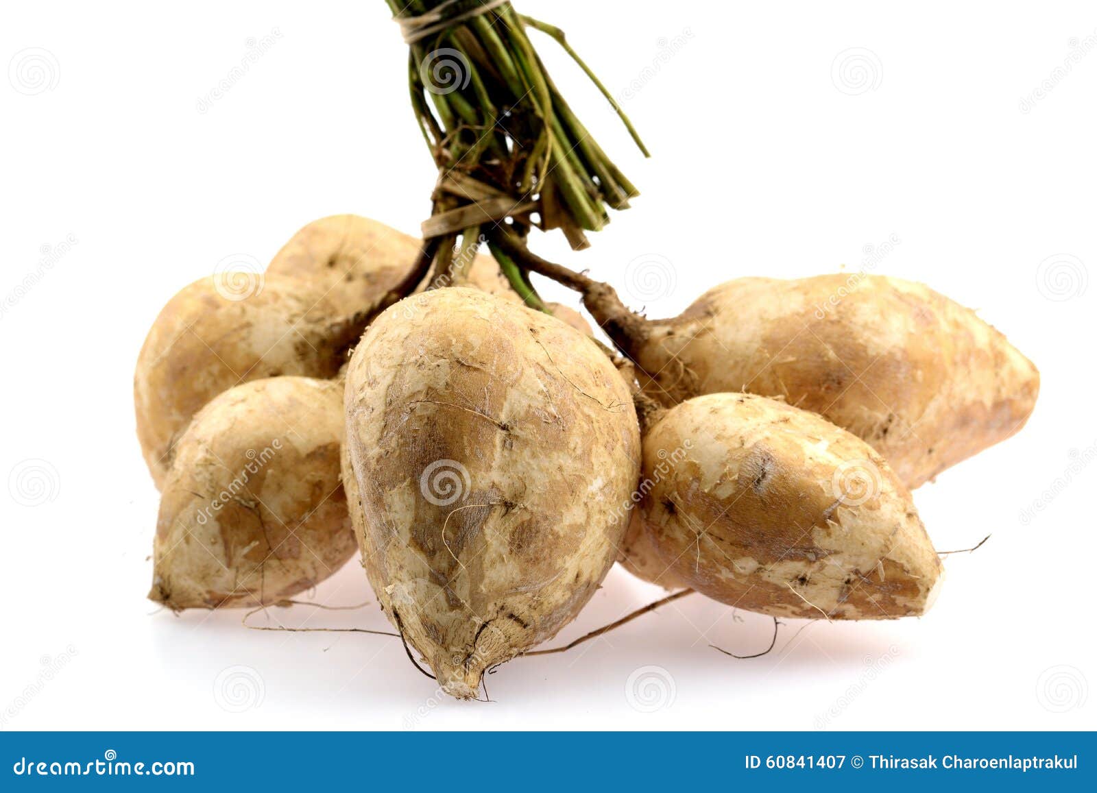 Yam bean or turnip stock image. Image of crusty, cook 60841407