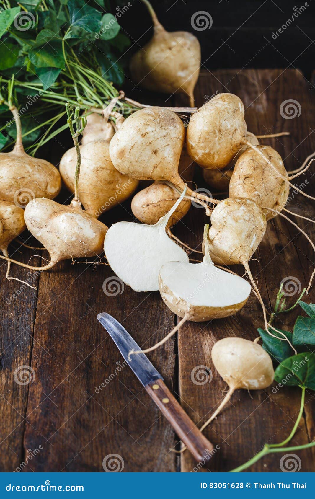 Yam Beans stock photo. Image of medicine, beans, plant 83051628