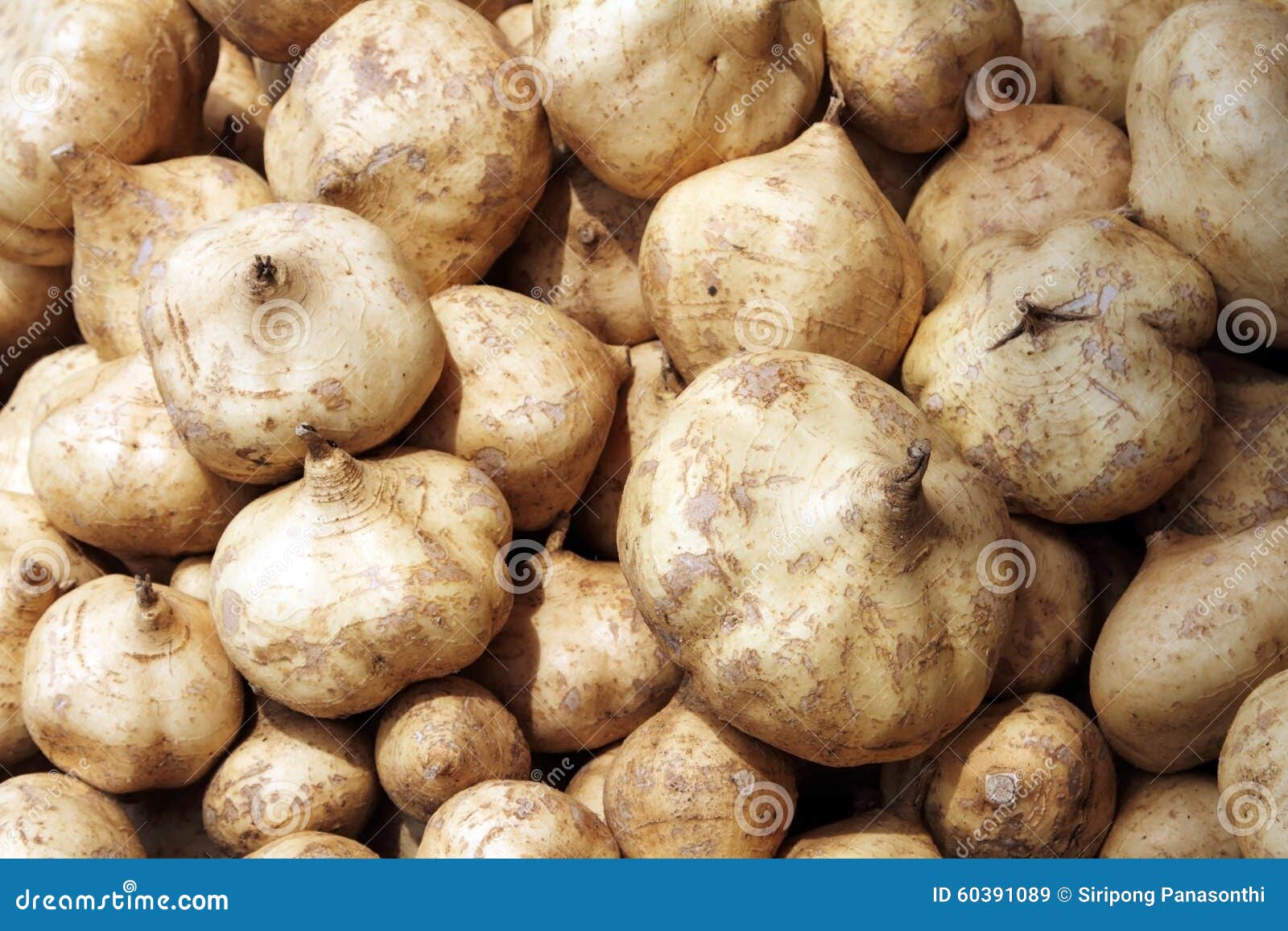Yam stock image. Image of market, fruit, sold, small 60391089