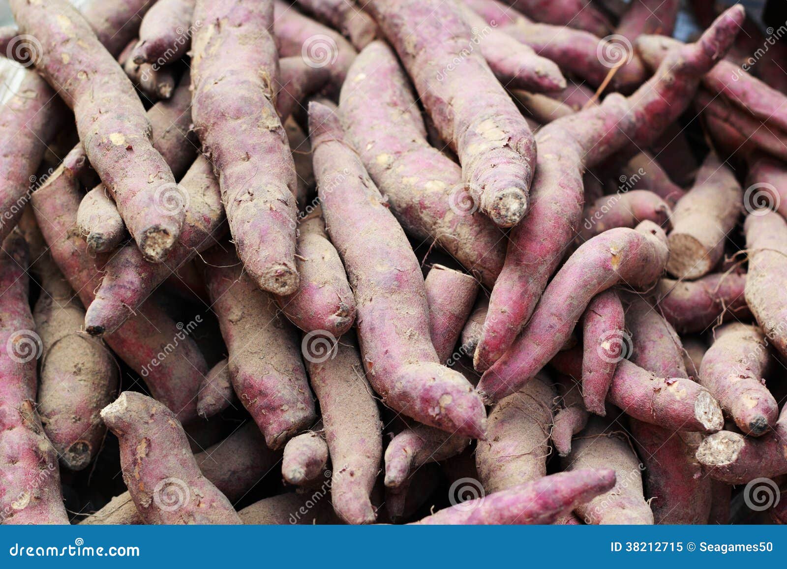 Yam at the market stock image. Image of carbohydrate 38212715