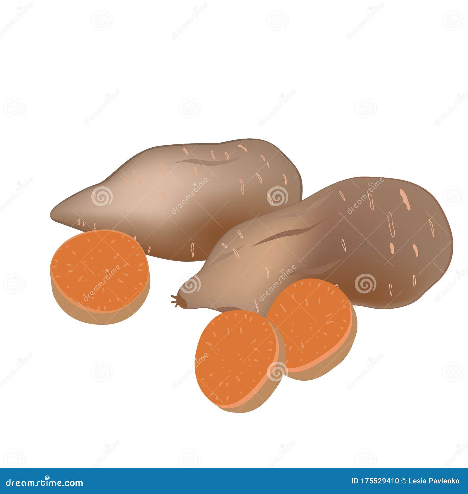 Yam or Sweet Potatoes Isolated on White Background, Vector Illustration ...