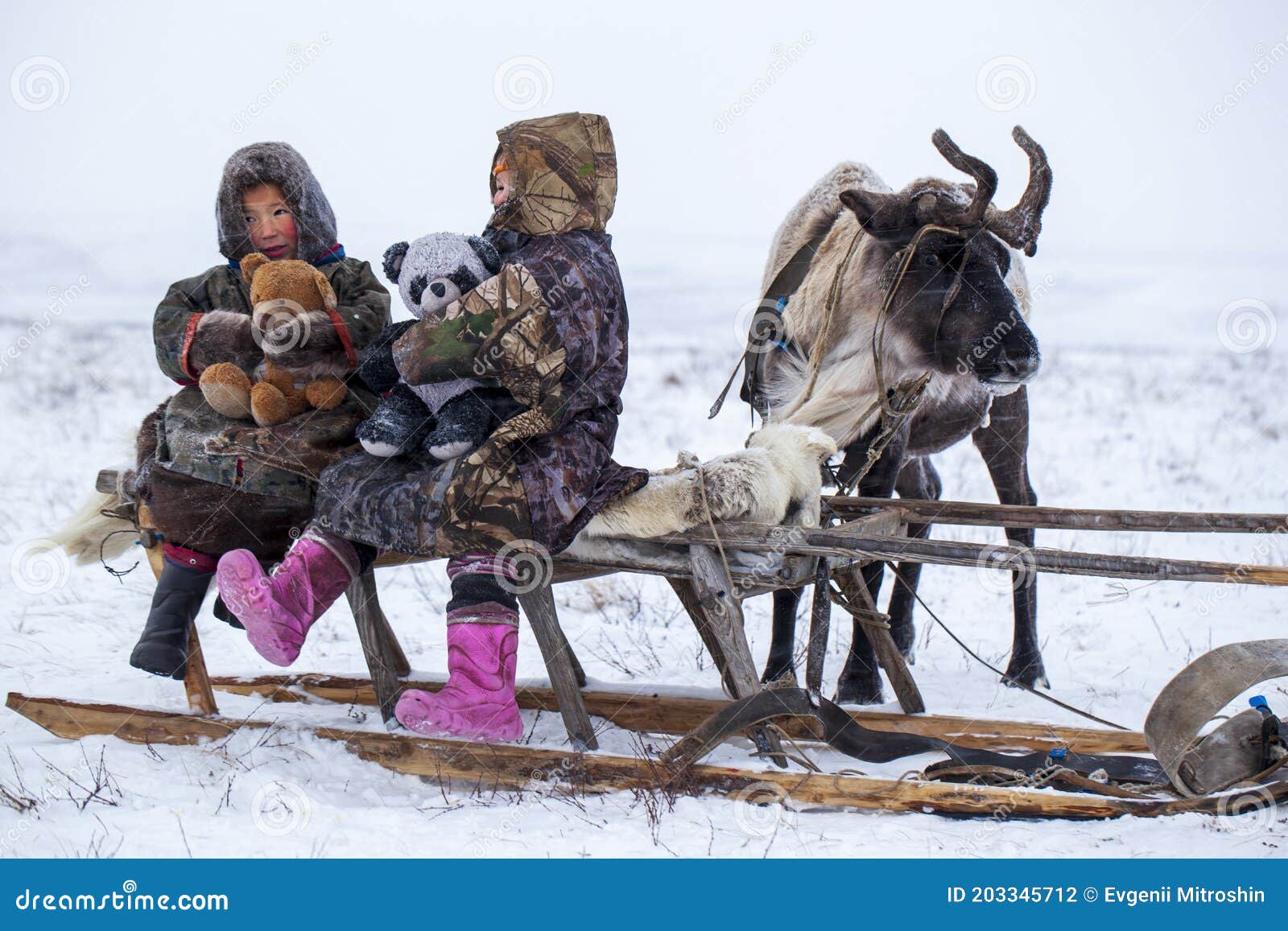 the yamal peninsula  the extreme north. happy boy and girl on reindeer herder pasture in a cold winter day  polar circle  children