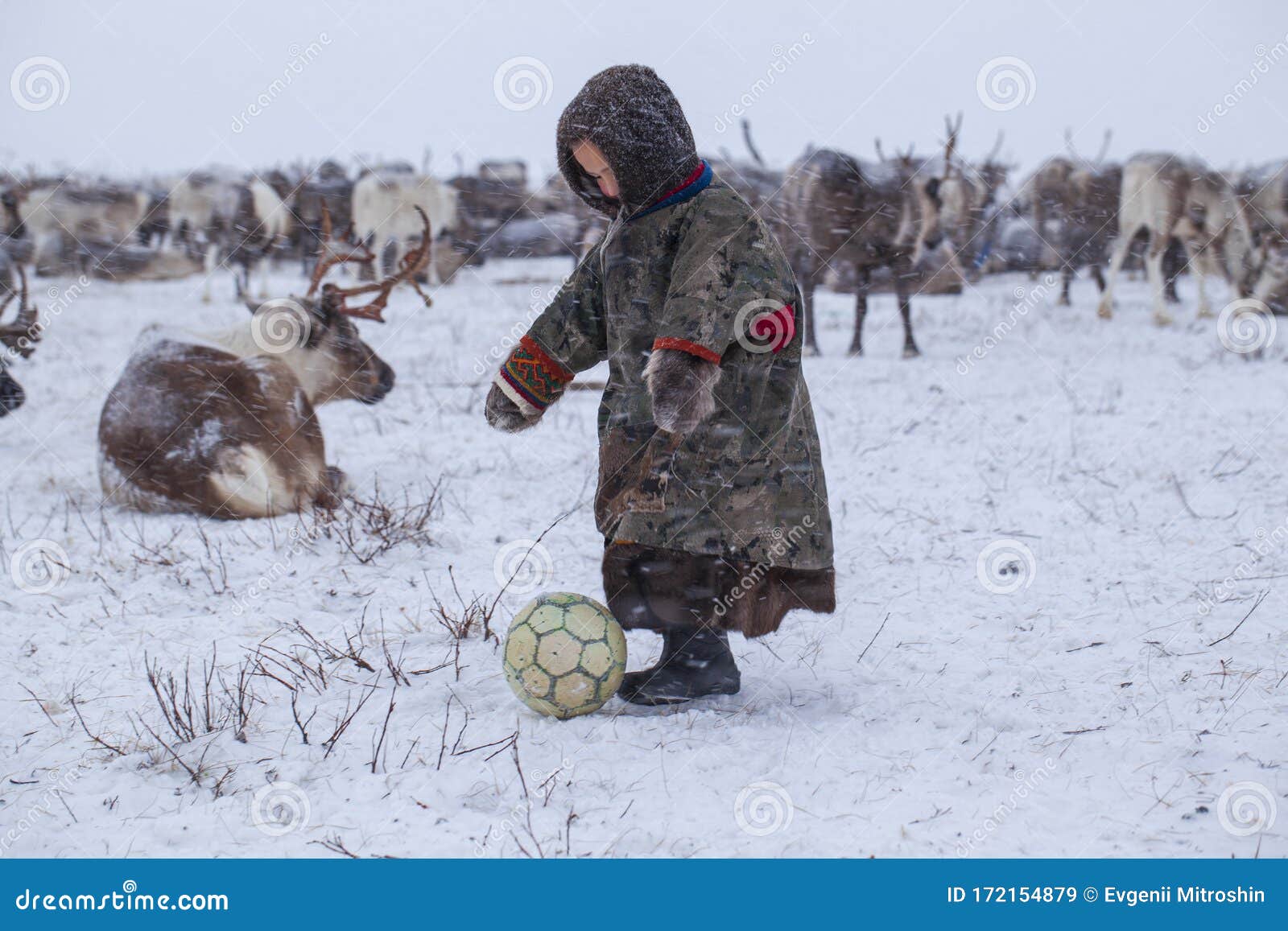 the yamal peninsula. reindeer with a young reindeer herder. happy boy on reindeer herder pasture playing with a ball in winter