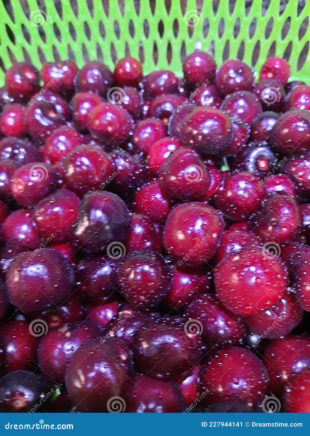 Yame fruit stock image. Image of summer, fruit, shery - 227944141