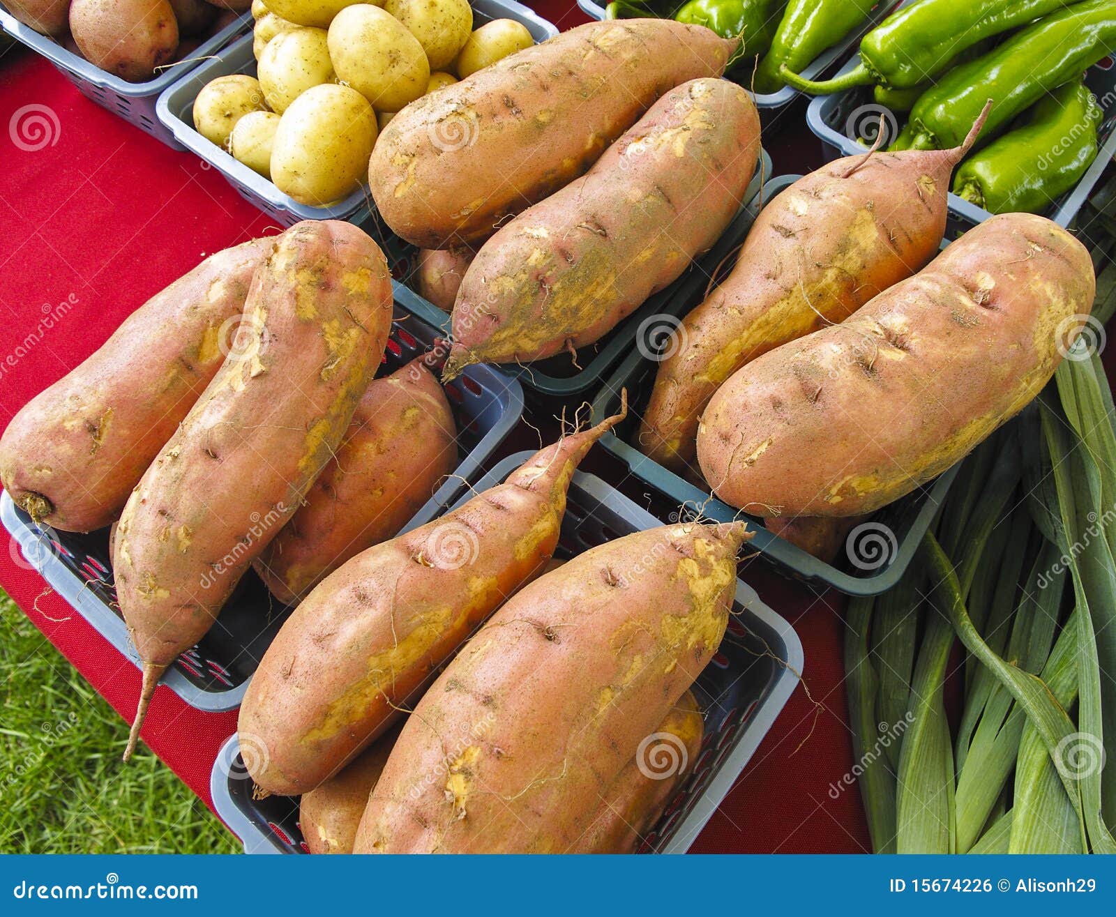 Yams at Farmers Market stock photo. Image of growers 15674226