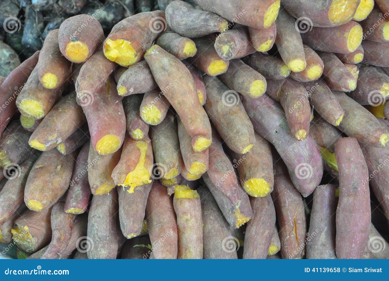 Yams group. stock photo. Image of potato, shot, cross 41139658