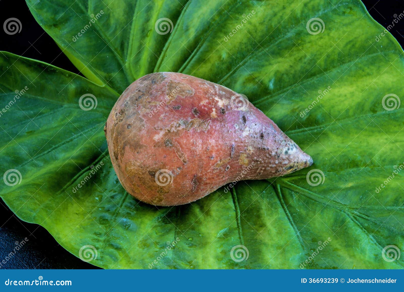 Yams with its leaf stock image. Image of fresh, detail 36693239
