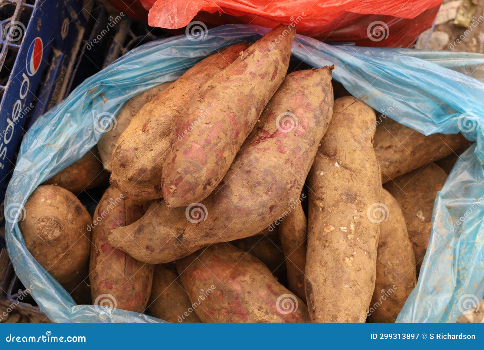 Yams for sale stock image. Image of cultivated, consumption 299313897