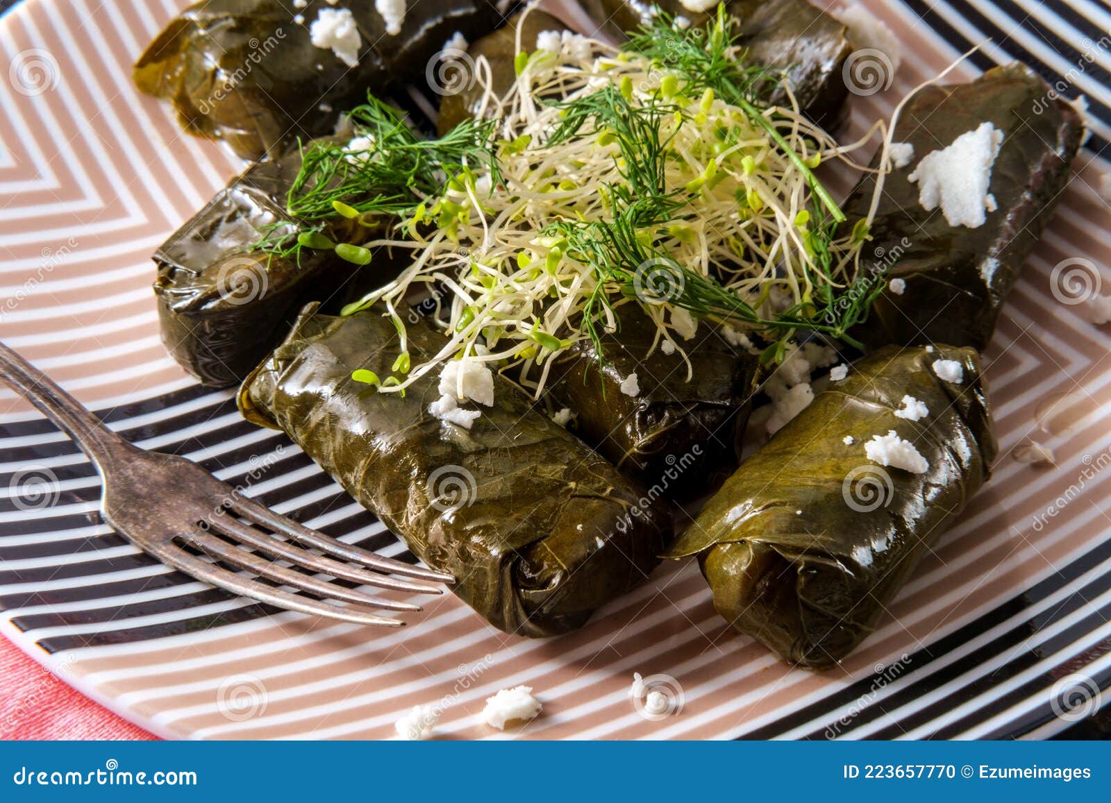 Yaprak Dolma, Stuffed Grape Leaves Stock Photo Image of leaves