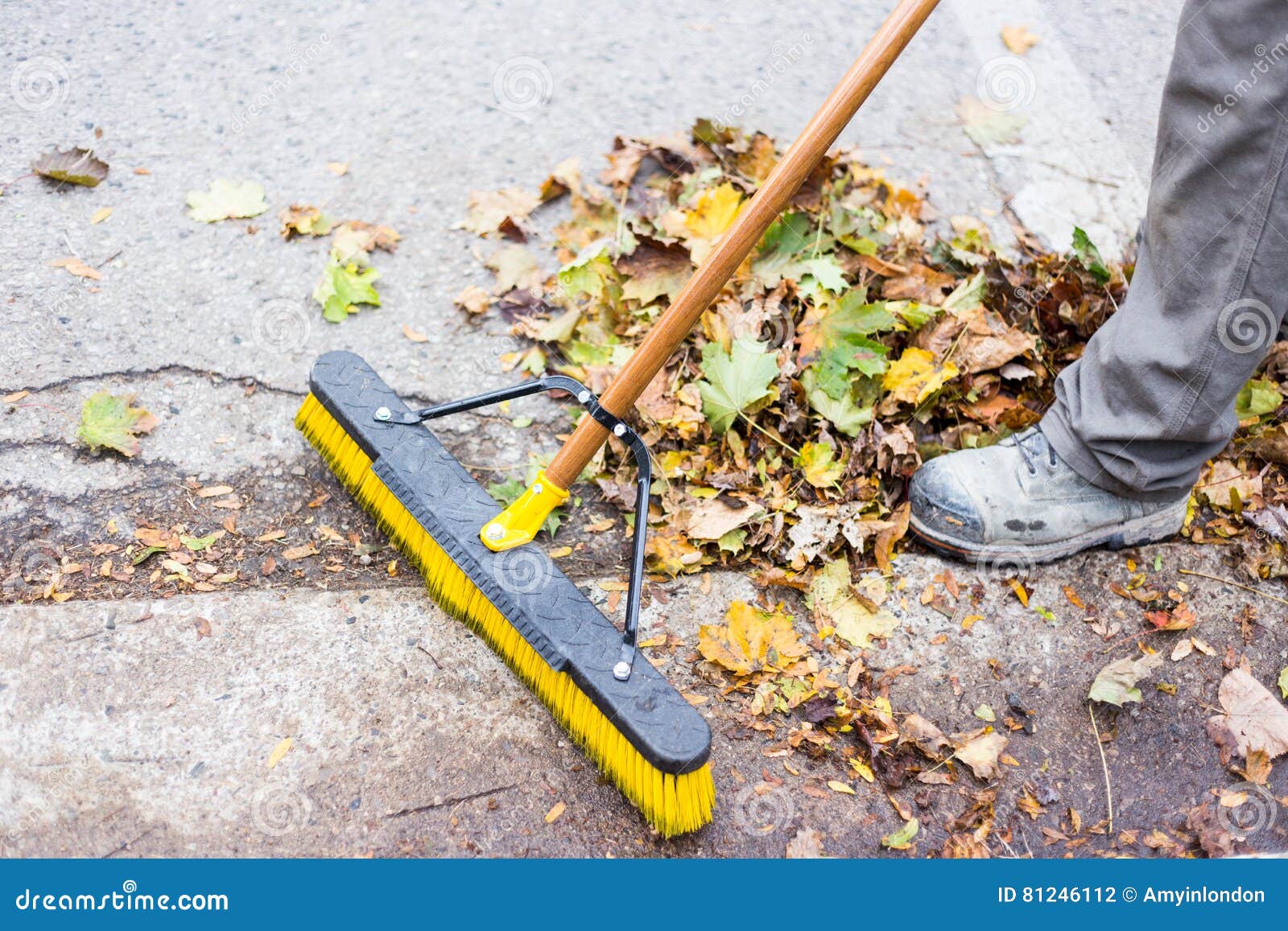 YArd clean up stock photo. Image of chores, cleaning 81246112
