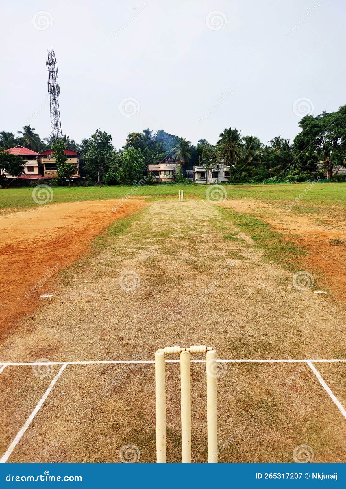 22 Yard Cricket Pitch Close Up View from India Stock Image Image of