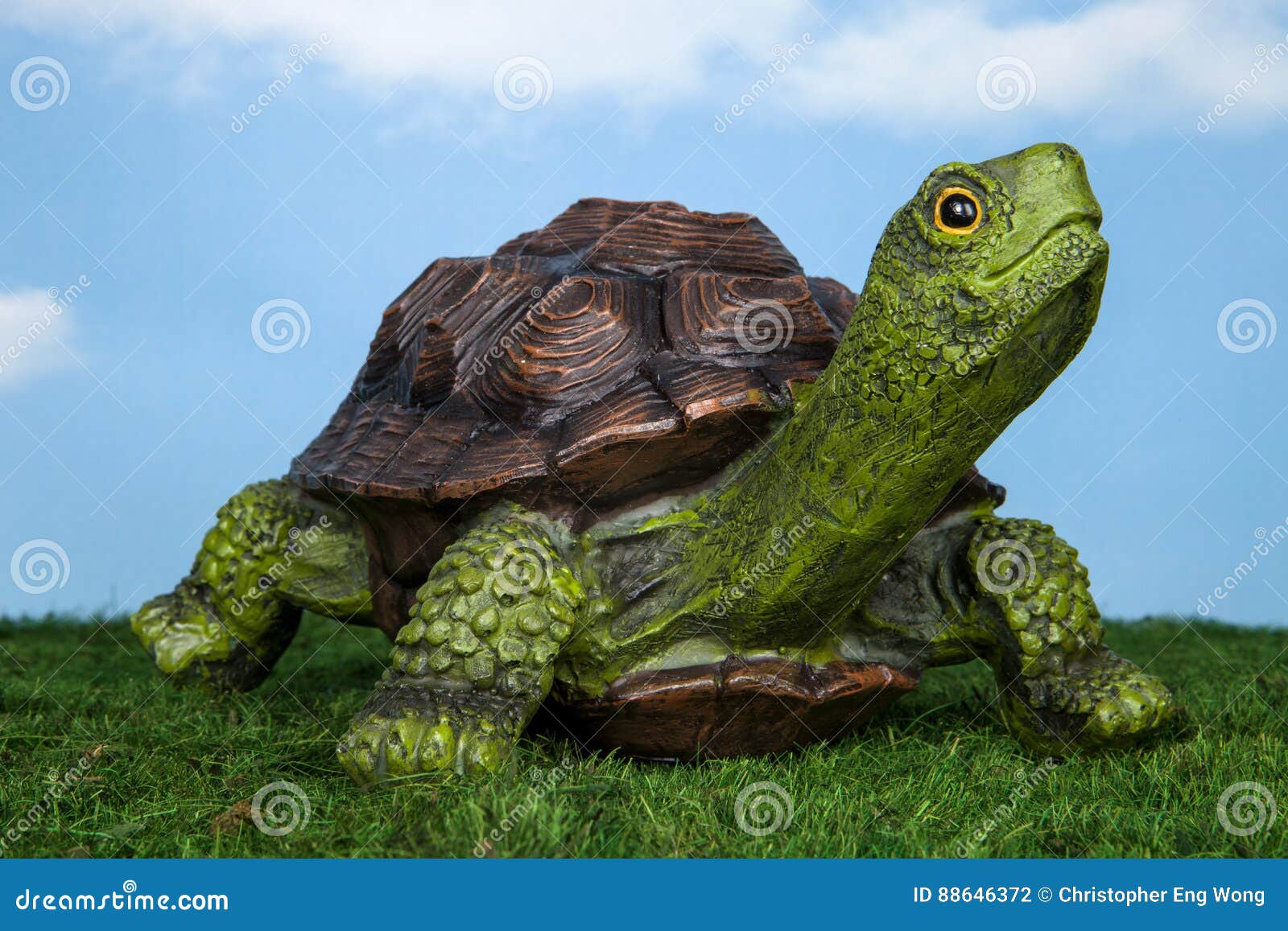 Yard Turtle Stock Photo Image Of Accent Garden Reptile 88646372