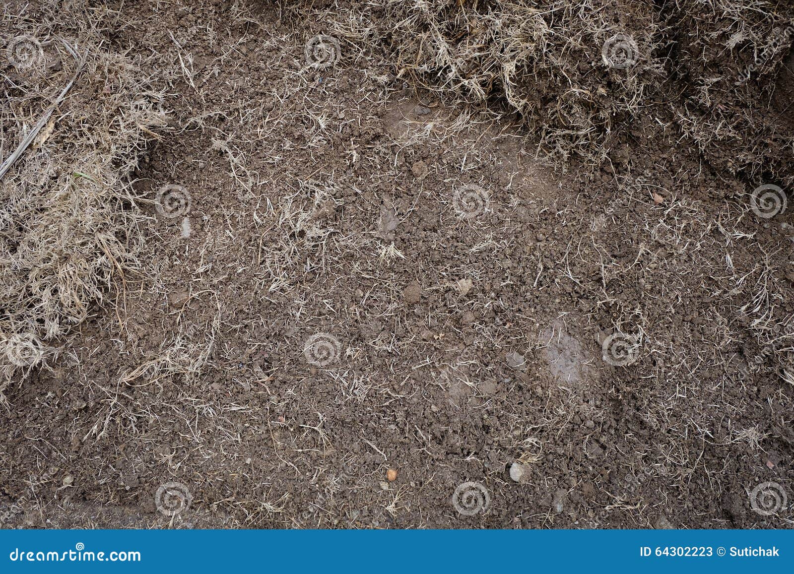 Yard Work, Preparation Soil in Garden Stock Image Image of landscape