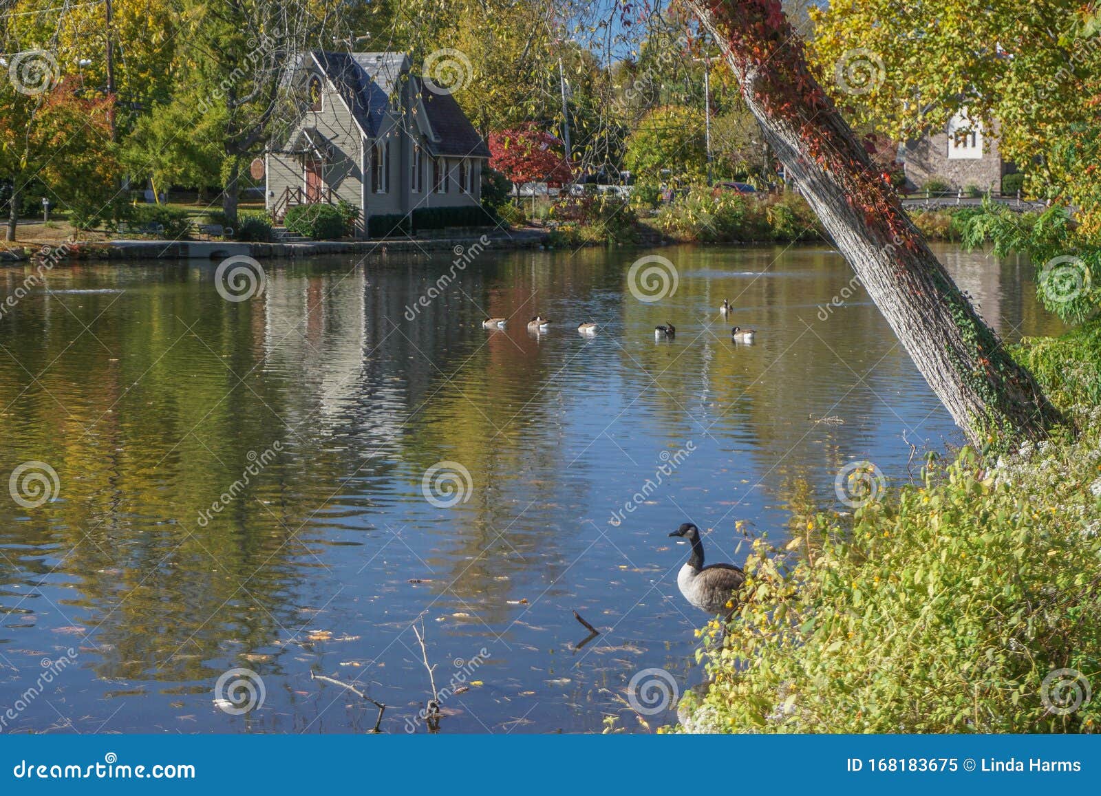 Yardley, PA the Old Library by Lake Afton Stock Image Image of