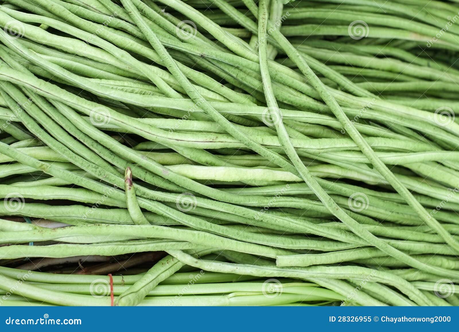 Yardlong beans stock image. Image of farm, asian, cuisine 28326955