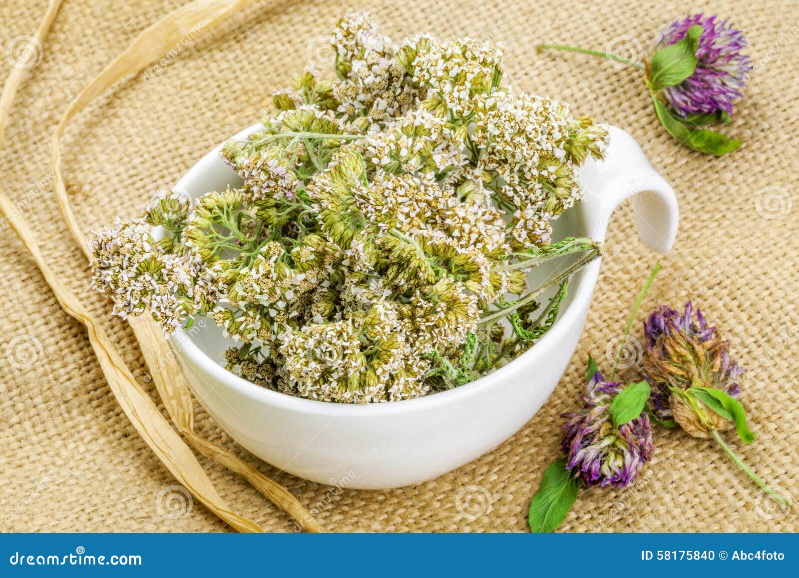 Yarrow in White Bowl on Rustic Jute Fabric Stock Photo Image of