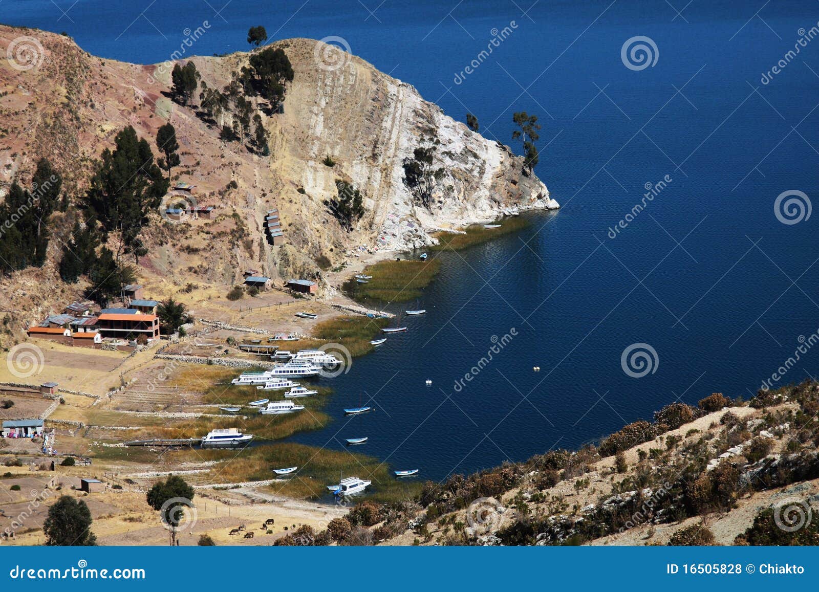 yatch and boats on titicaca lake