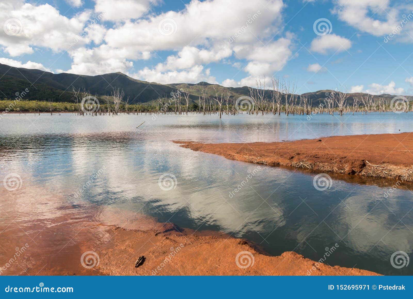yate lake with drowned forest in blue river national park in new caledonia